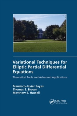 Variational Techniques for Elliptic Partial Differential Equations