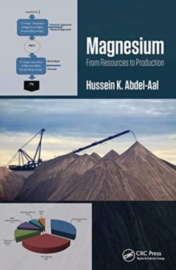 Magnesium: From Resources to Production