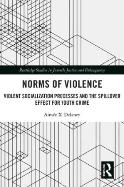 Norms of Violence