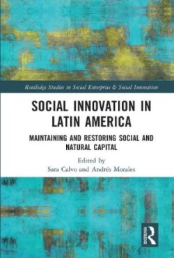 Social Innovation in Latin America