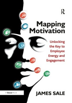 Mapping Motivation