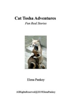 Cat Tosha Adventure