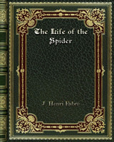 Life of the Spider