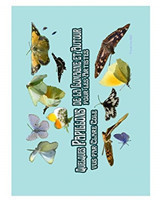 Quelques Papillons de Lomagne en Occitanie pour Artistes