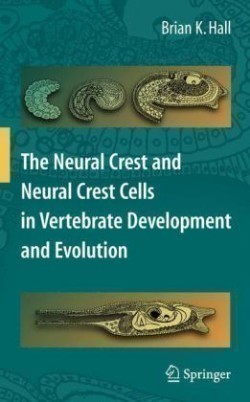 Neural Crest and Neural Crest Cells in Vertebrate Development and Evolution