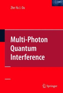 Multi-Photon Quantum Interference