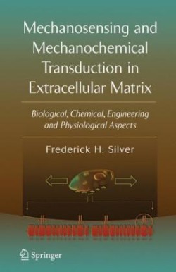 Mechanosensing and Mechanochemical Transduction in Extracellular Matrix