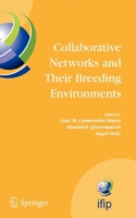 Collaborative Networks and Their Breeding Environments