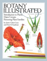 Botany Illustrated