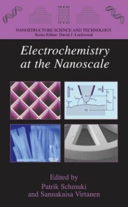 Electrochemistry at the Nanoscale