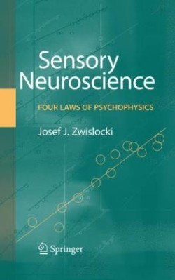 Sensory Neuroscience: Four Laws of Psychophysics