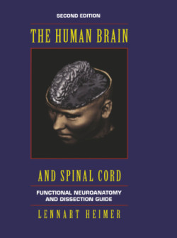 Human Brain and Spinal Cord