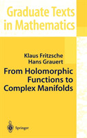 From Holomorphic Functions to Complex Manifolds