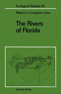 Rivers of Florida