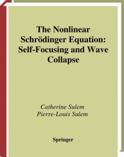 Nonlinear Schrödinger Equation