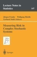 Measuring Risk in Complex Stochastic Systems