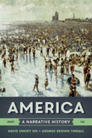 America A Narrative History