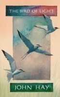 Bird of Light