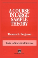 Course in Large Sample Theory