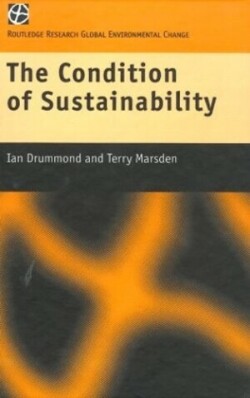 Condition of Sustainability