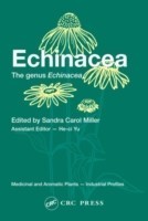 Echinacea