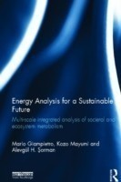 "Energy Analysis for a Sustainable Future