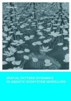 Spatial Pattern Dynamics in Aquatic Ecosystem Modelling