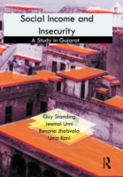 Social Income and Insecurity