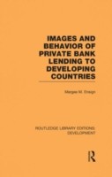 Images and Behaviour of Private Bank Lending to Developing Countries