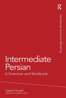 Intermediate Persian: A Grammar and Workbook