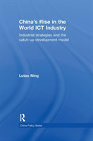 China's Rise in the World ICT Industry