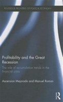 Profitability and the Great Recession