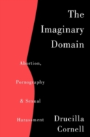 Imaginary Domain