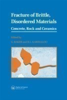 Fracture of Brittle Disordered Materials: Concrete, Rock and Ceramics