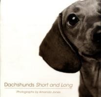 Dachshunds Short And Long
