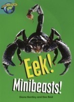 Fact World Stage 6: Eek! Minibeasts!