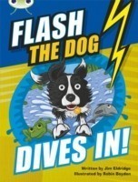 Bug Club Brown B/3B Flash the Dog Dives In! 6-pack