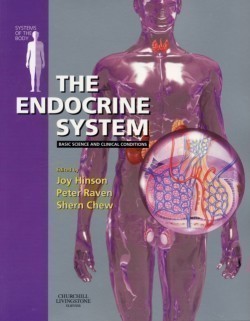 Endocrine System Sob