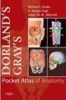 Dorland´s / Gray´s Pocket Atlas of Anatomy
