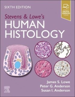 Stevens & Lowe's Human Histology, 6th ed.