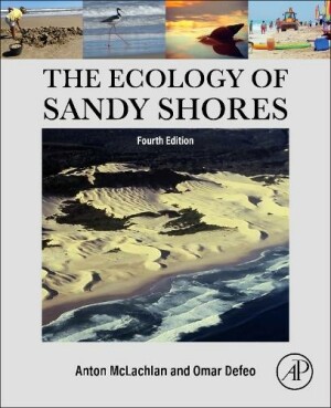 Ecology of Sandy Shores