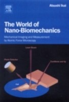 World of Nano-biomechanics