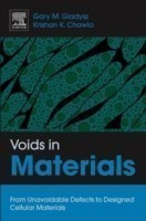 Voids in Materials