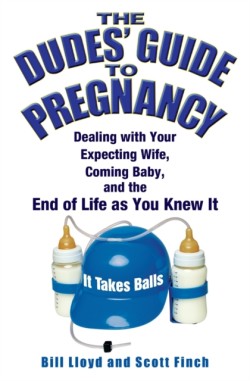 Dudes' Guide To Pregnancy