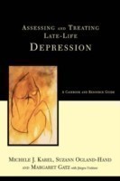 Assessing and Treating Late-life Depression A Casebook and Resource Guide