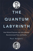 The Quantum Labyrinth : How Richard Feynman and John Wheeler Revolutionized Time and Reality