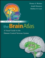 Brain Atlas