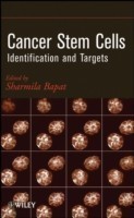 Cancer Stem Cells