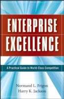 Enterprise Excellence: Practical Guide to World Class Competition