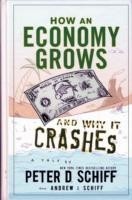 How Economy Grows and Why It Crashes